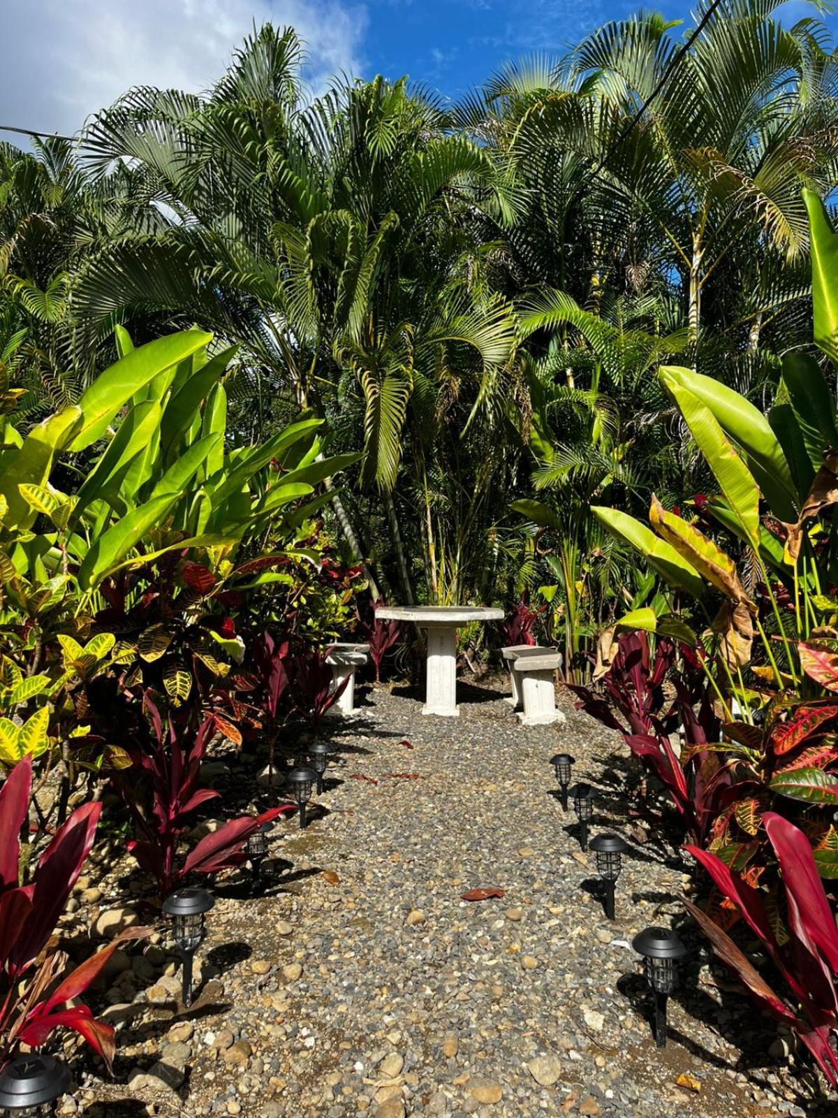 Cabanas Rio Escondido En La Fortuna Exterior foto